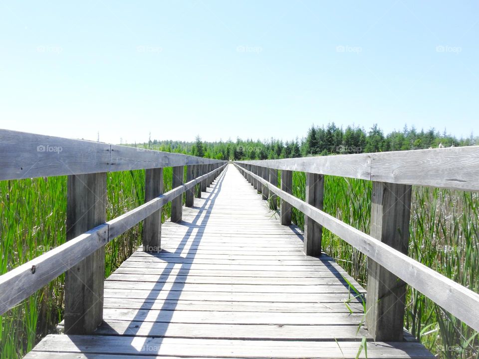 Wooden bridge over a swamp in countryside