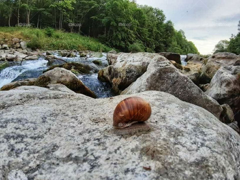 A little creature in a big world