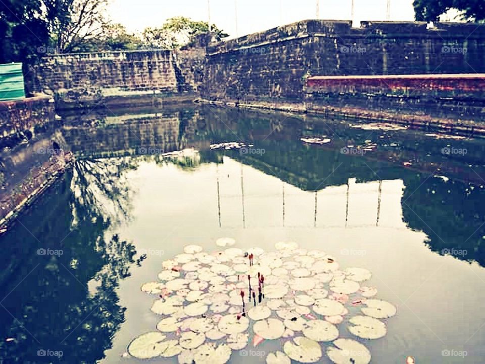 The Soft but Bold Tone of the Water!