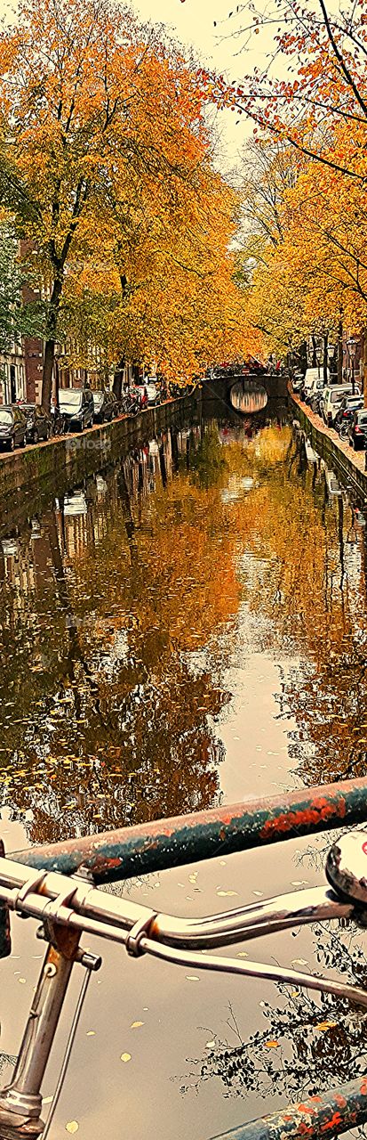 Amsterdam Holland Redlightdistrict