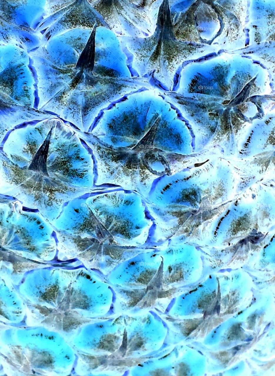 Blue pineapple