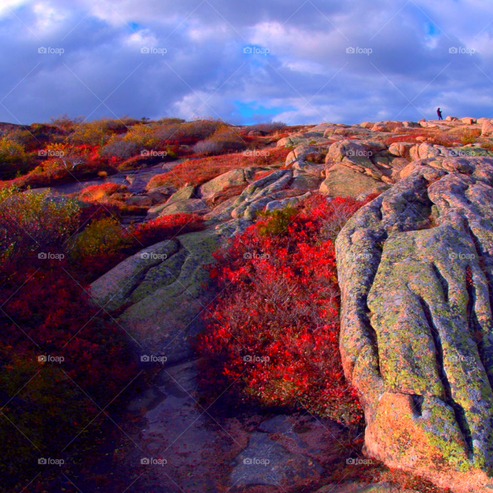 Autumn is my favorite time of year! It is a transition between summer and winter. The weather is unpredictable, and in some areas the tree leaves turn into the most fantastic orange, red, yellow, and golden brown. When you drive through the country, the sun burst on the multicolored hillsides, so vivid it is unbelievable!