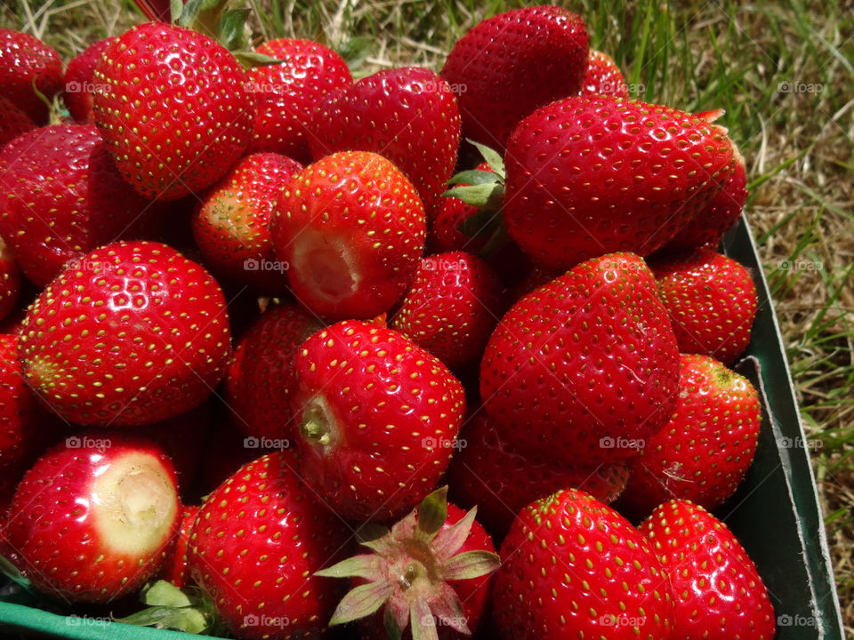 strawberries