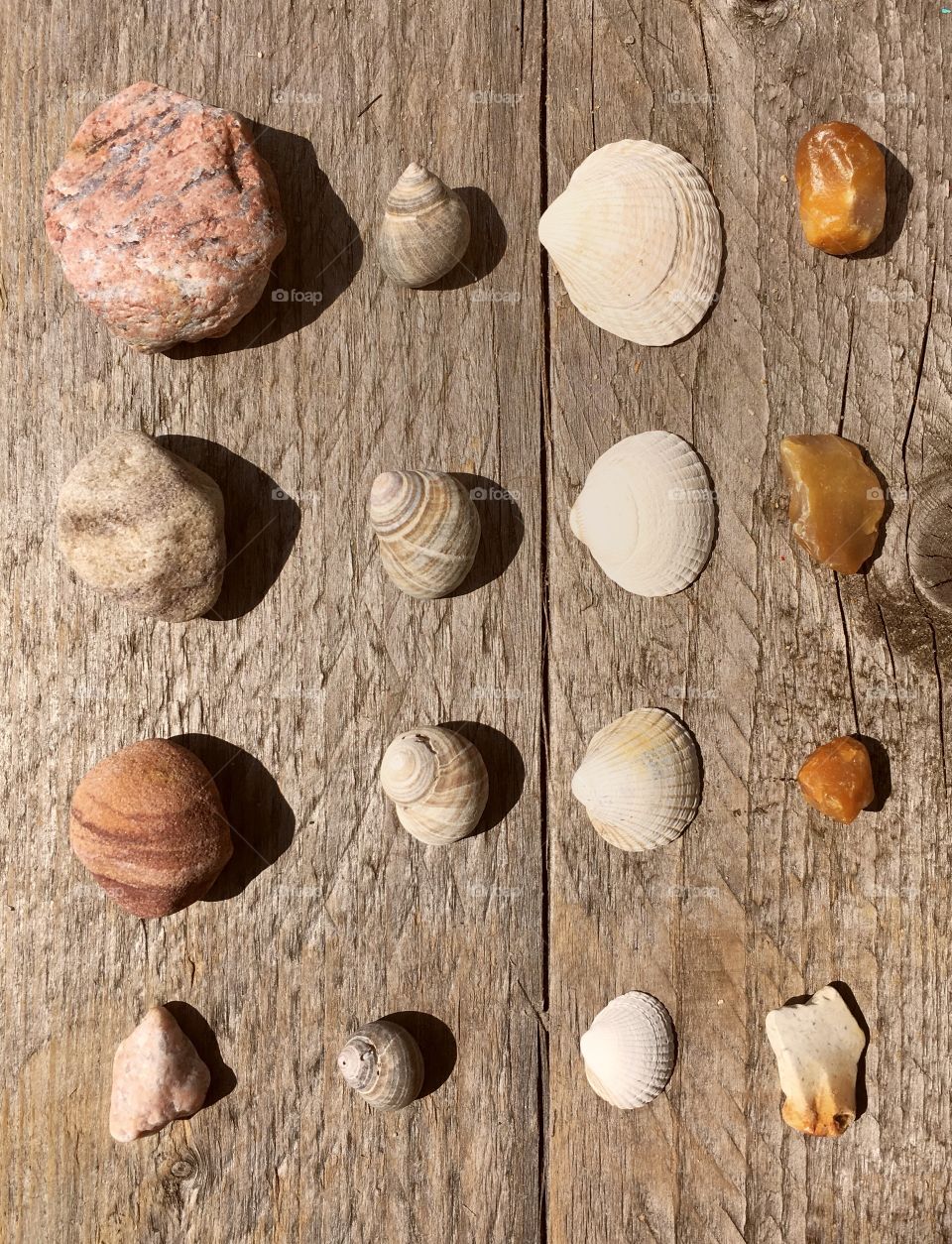 Shells and Stones