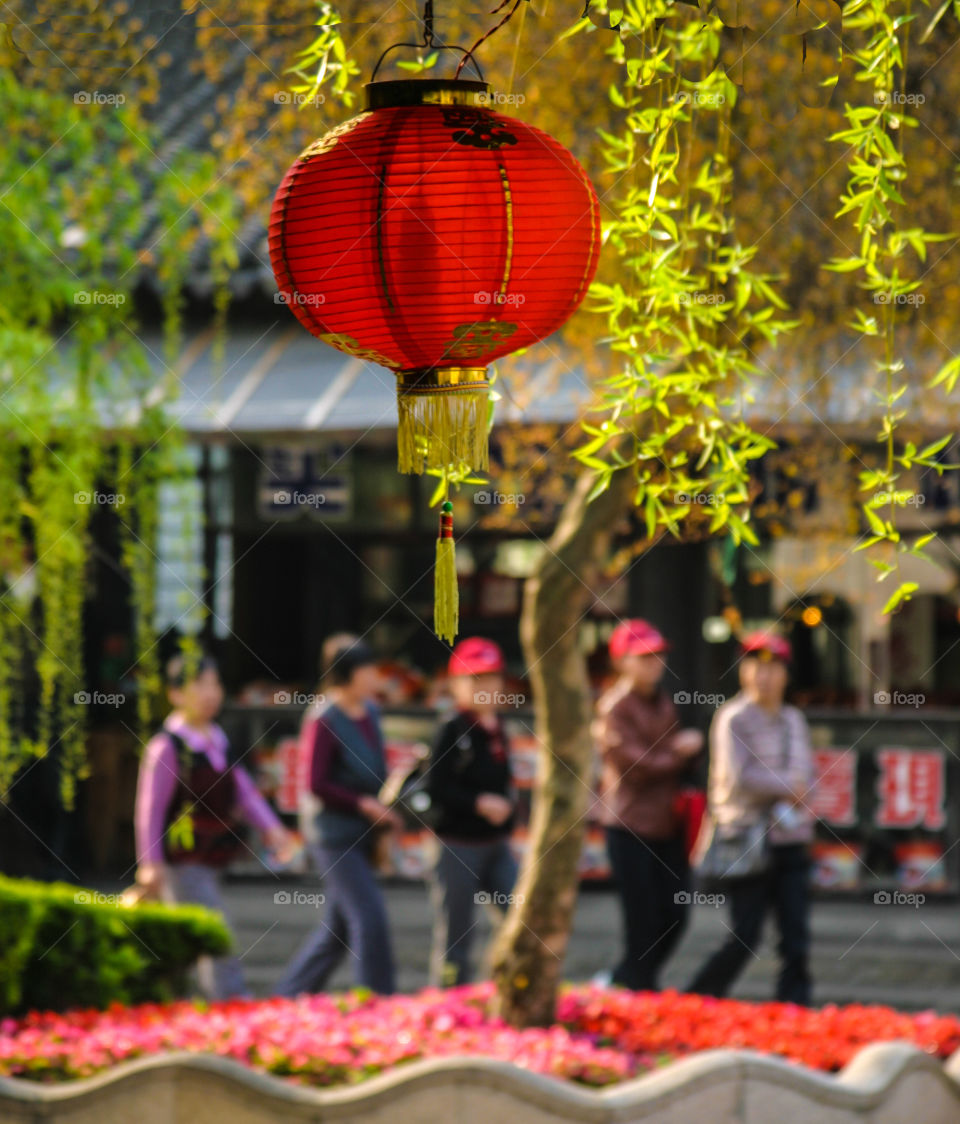 Chinese lantern. 