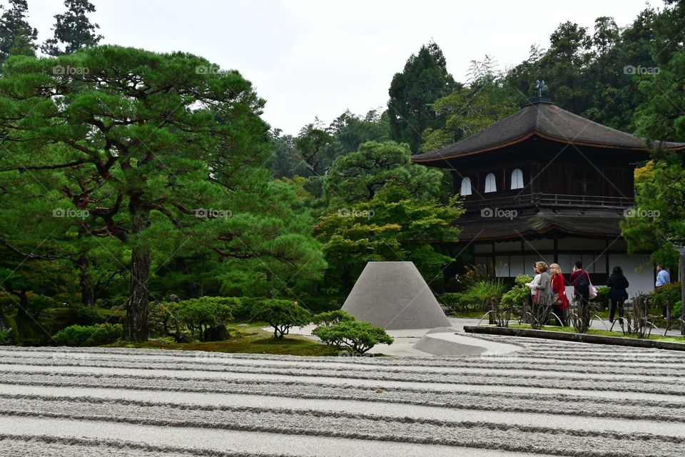 Japanese garden