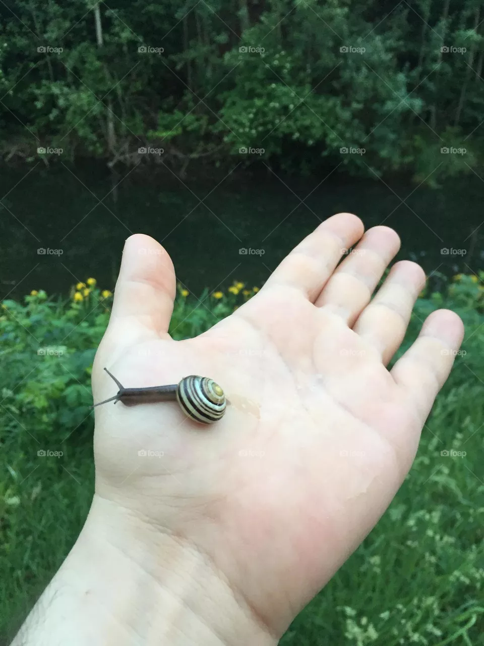 Meine Schnecke 