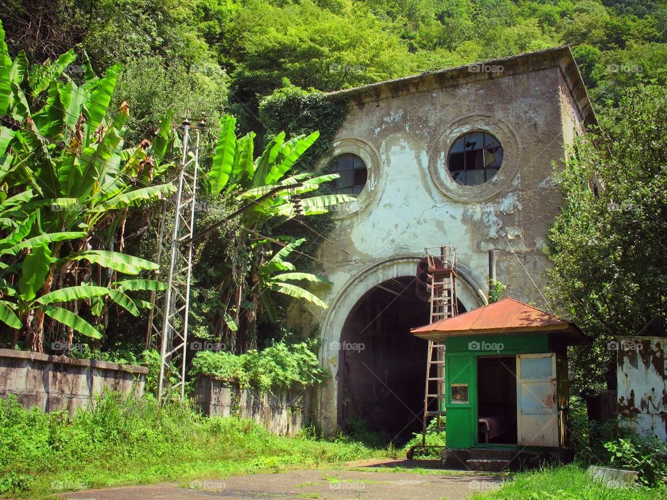 Abandoned tunnel for the train in subtropical region of Abkhazia