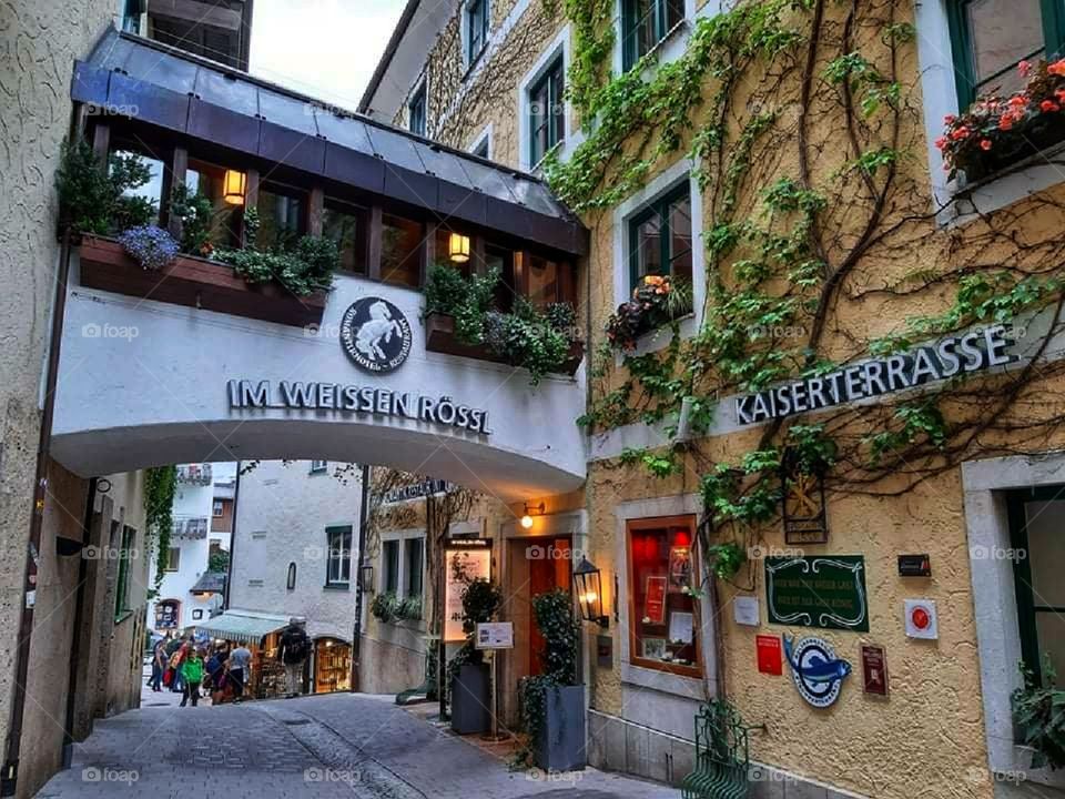 City embracing nature