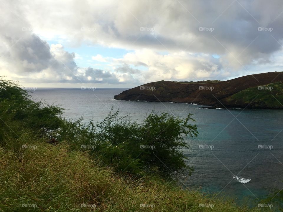 Idyllic view of river