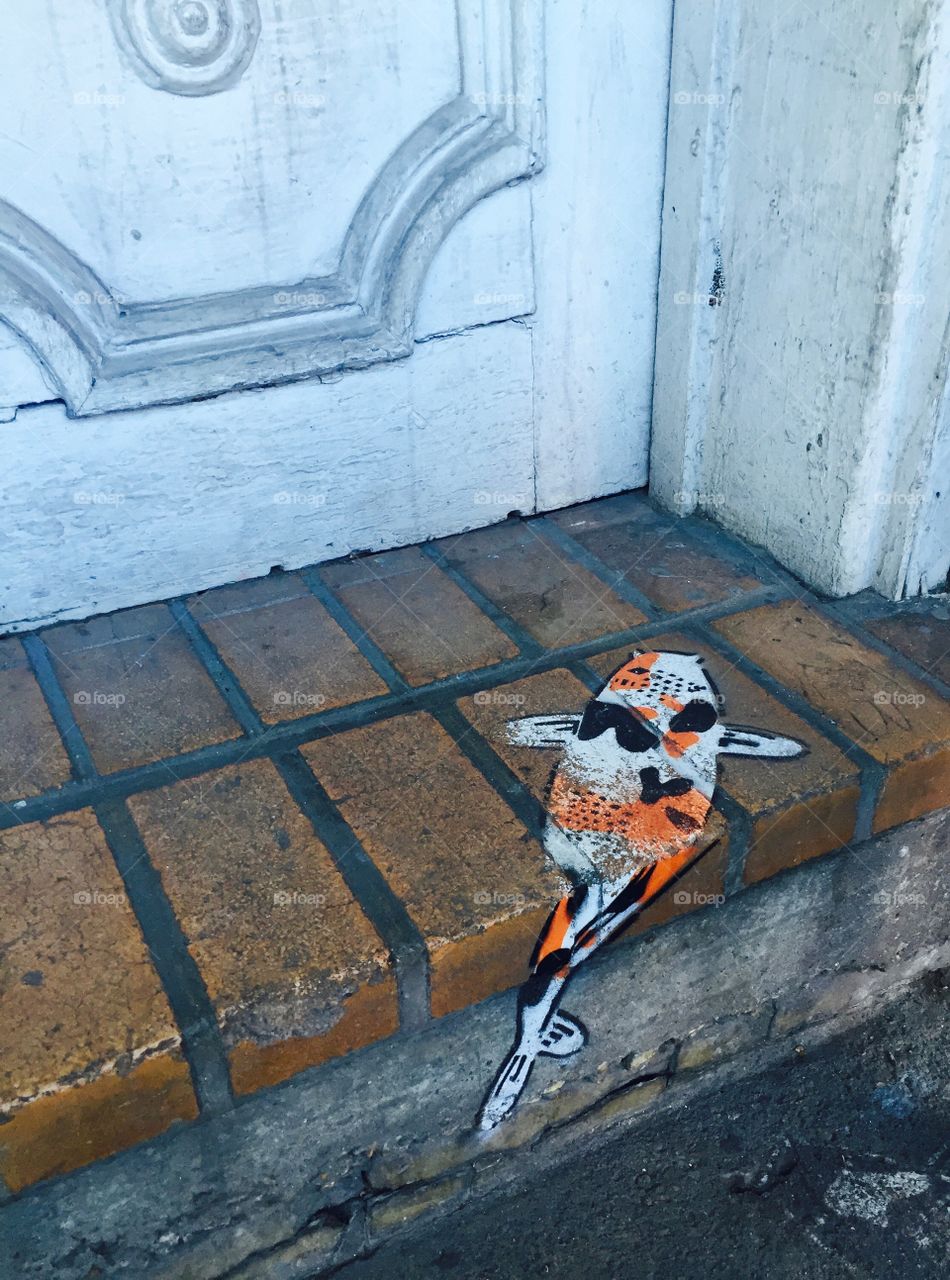 Koi on steps