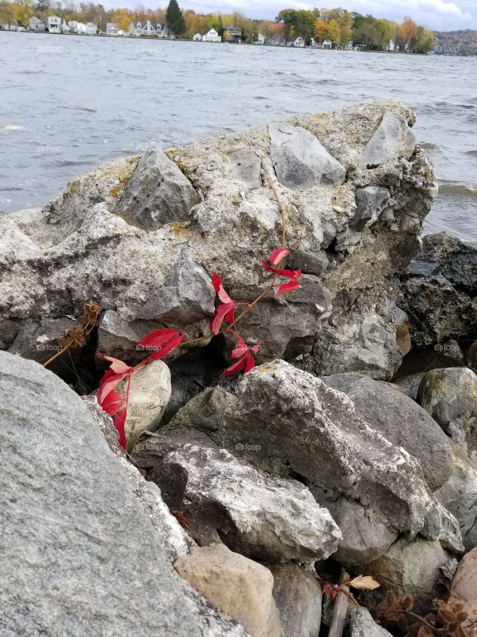 Rock, Stone, Nature, Water, Outdoors