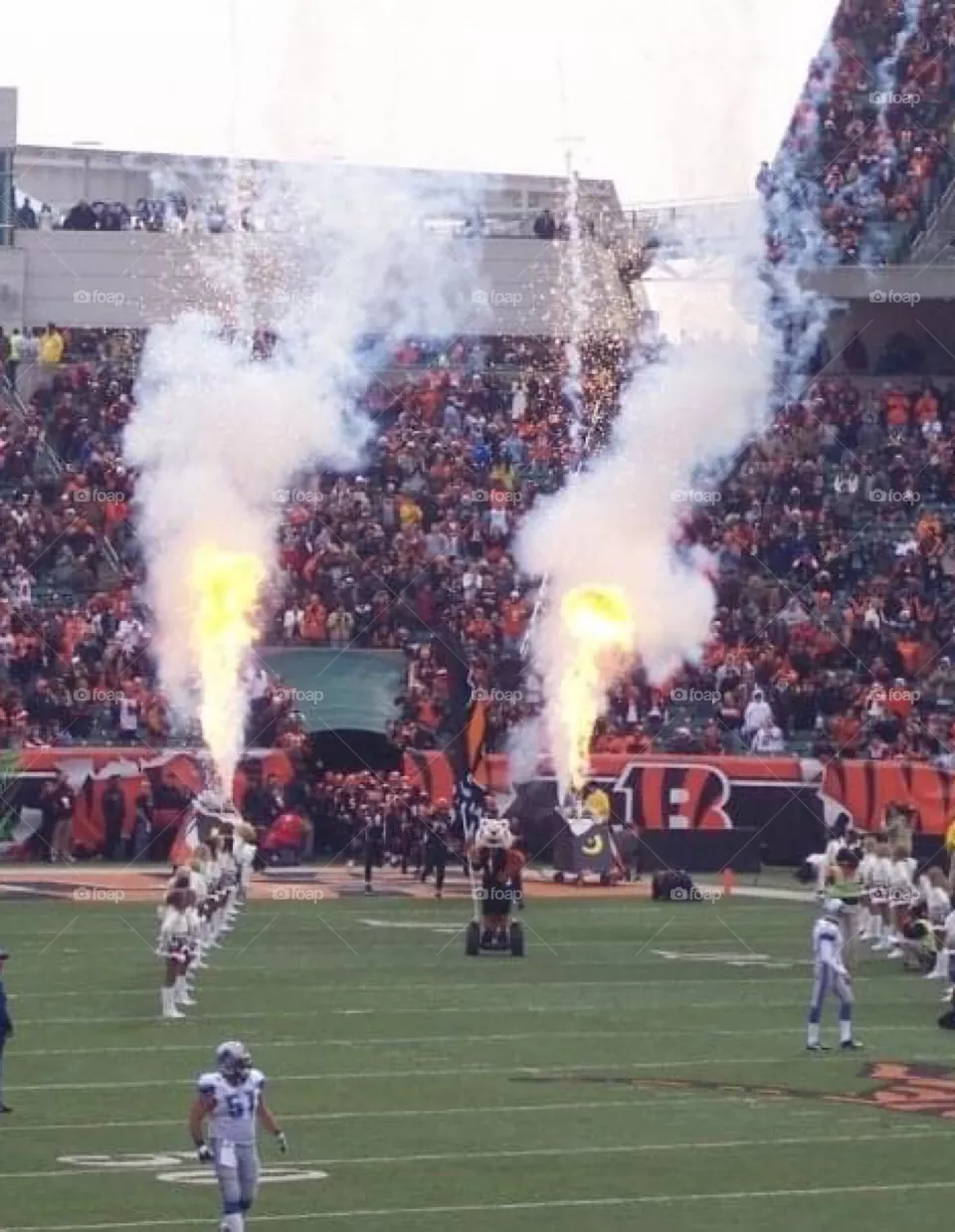 Bengals game 