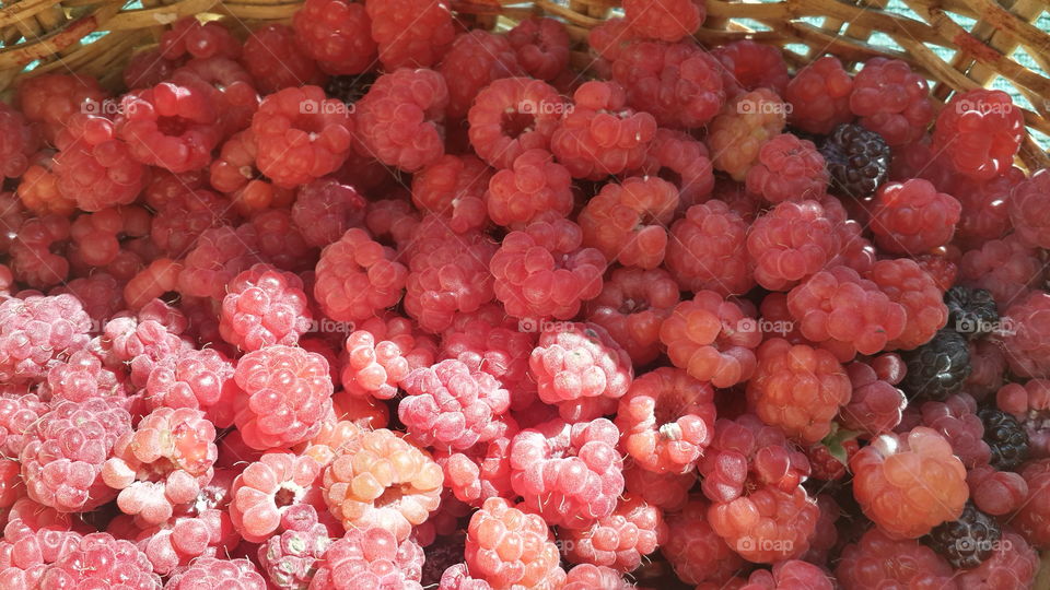 Basket with raspberries
