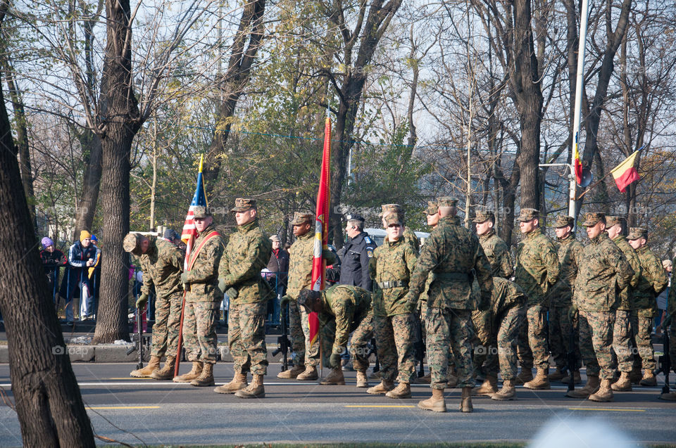 Romanian National Day Parade