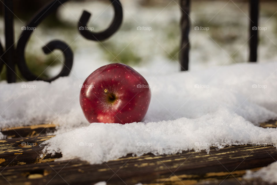 Red apple on the snow