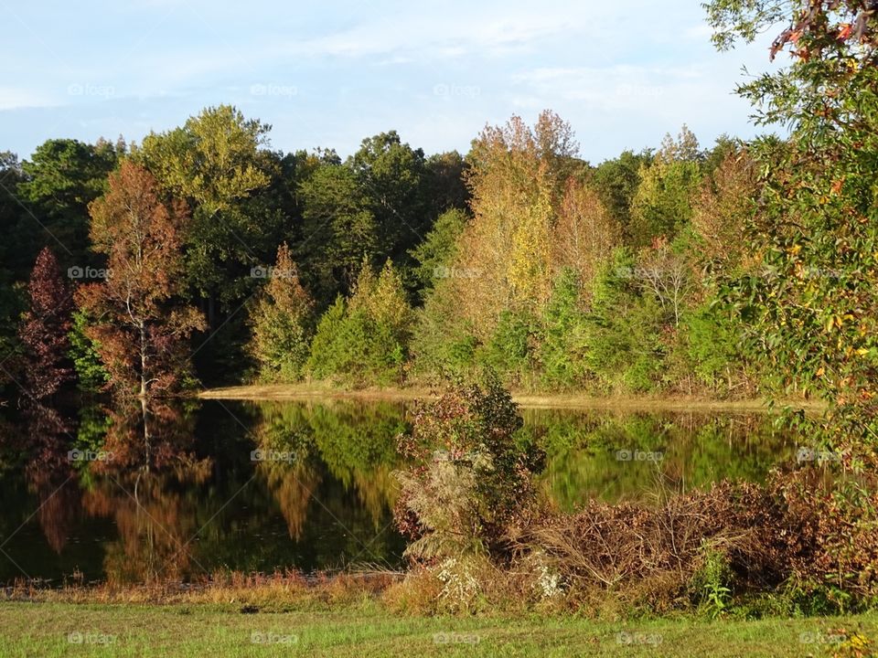 Autumn foliage country pond reflections 