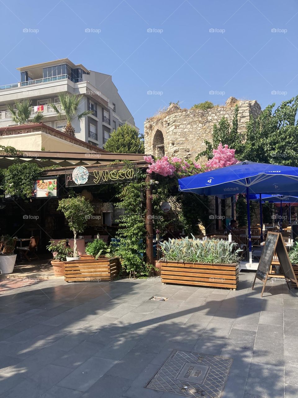 Sunny holidays I’m Turkey. Walk in the cute city and charming streets by the beach in Kusadasi. perfect blue sky and ocean view. Beach and the shore. To travel is to live. Gorgeous tall palm trees.