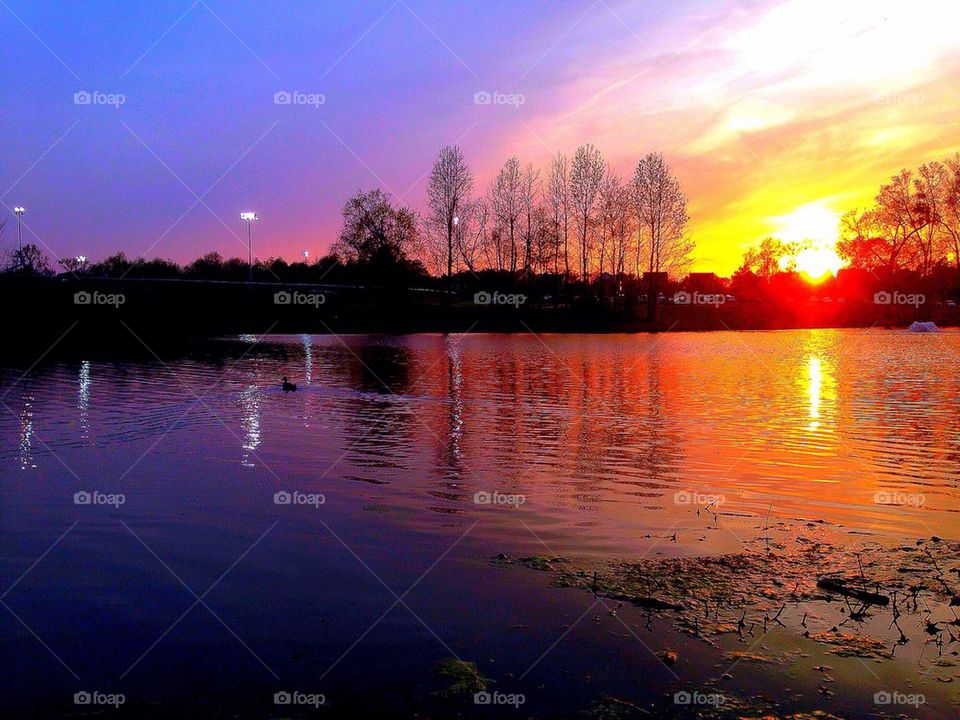 Sunset over pond @ Womble Park
