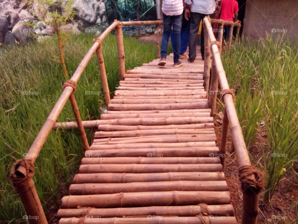 Bamboo bridge