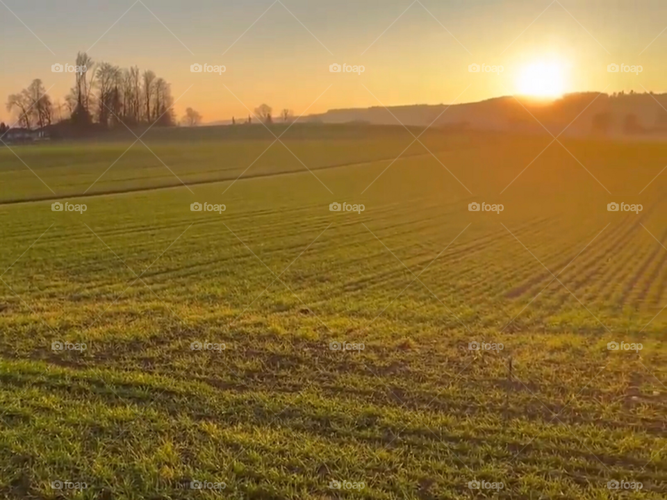 The most beautiful fields in Switzerland