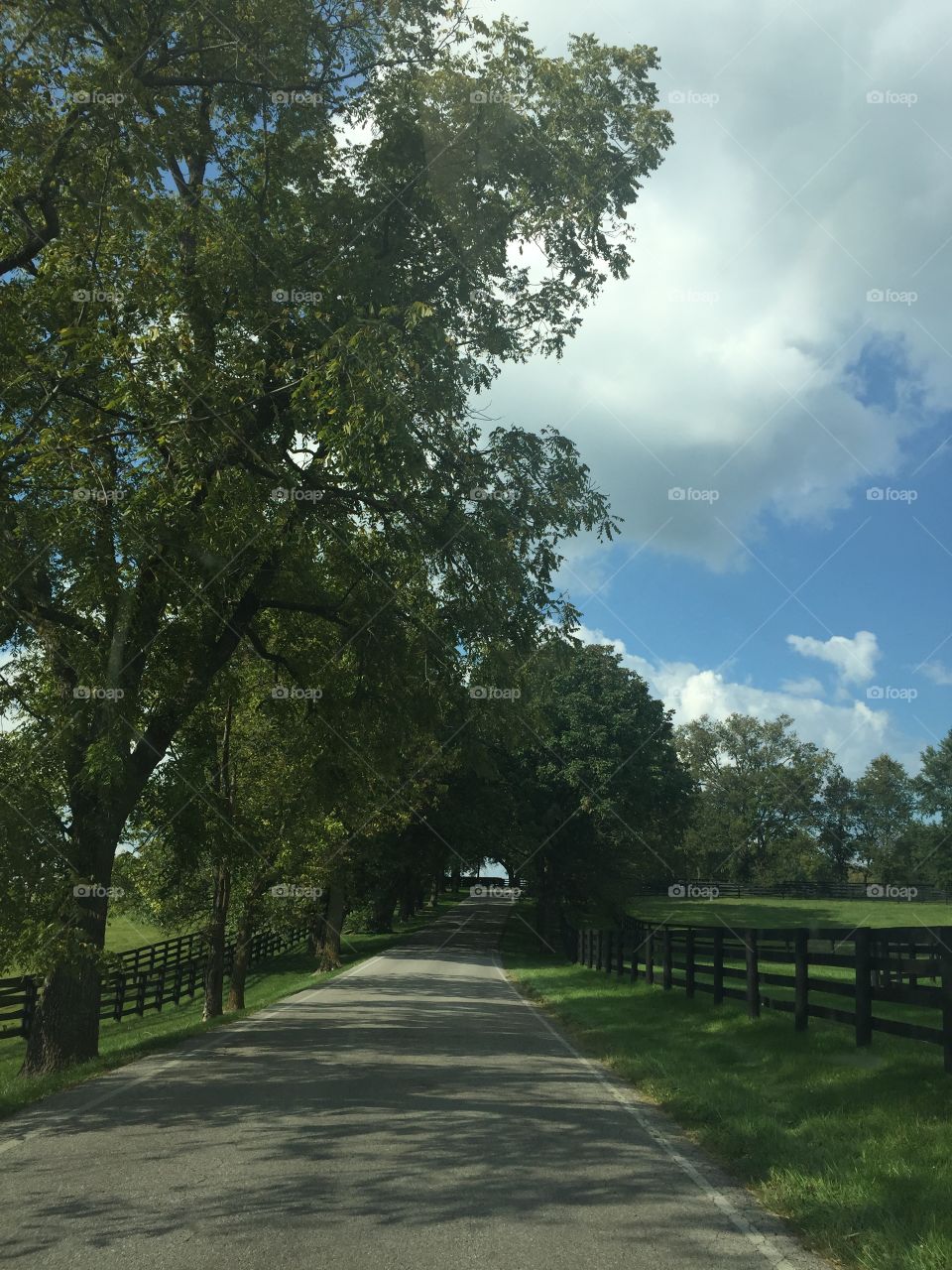 Kentucky Roads