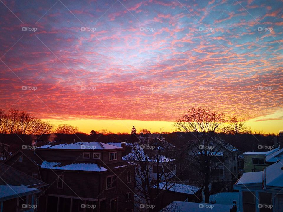 Pink carpet Sunrise 