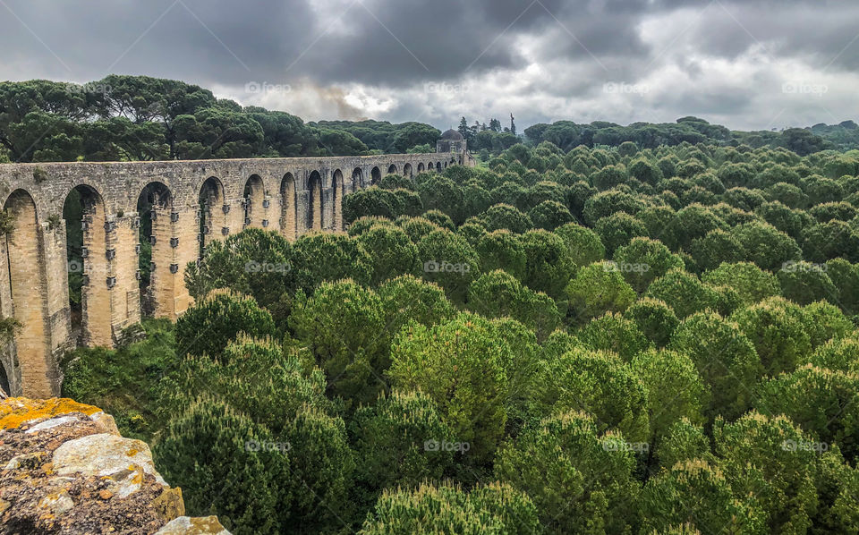 A forest of pines stretches out along an old stone aqueduct in Central Portugal 