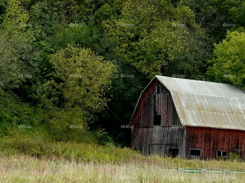 Driving the Back Roads and enjoying everything around us.