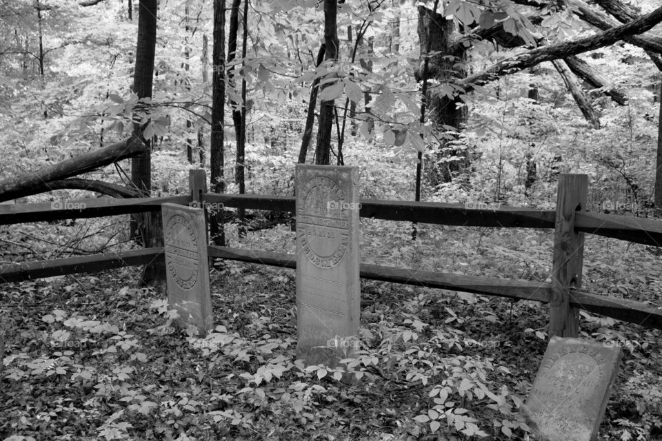 Pioneer cemetery