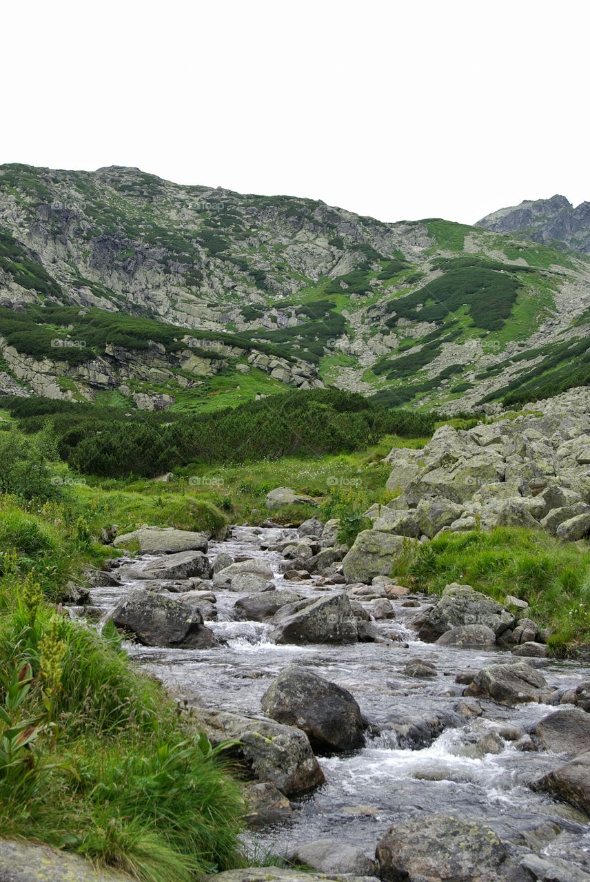 View of a river