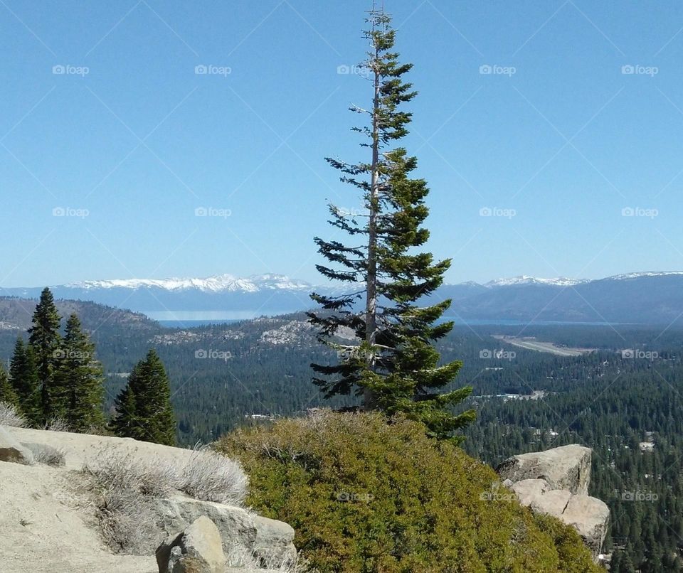 Mountain View with snow capped mountains in the background