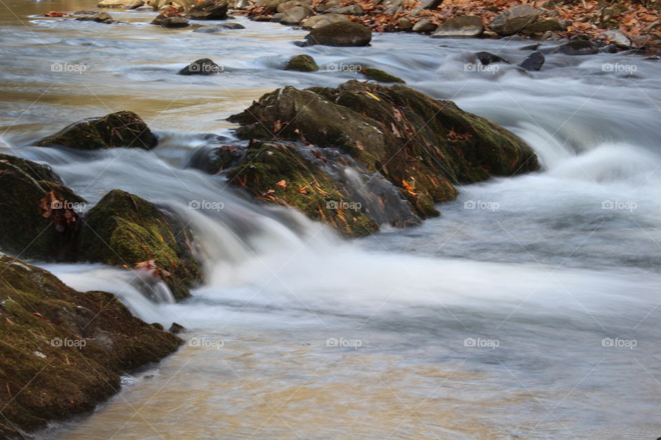 Great Smoky Mountains stream