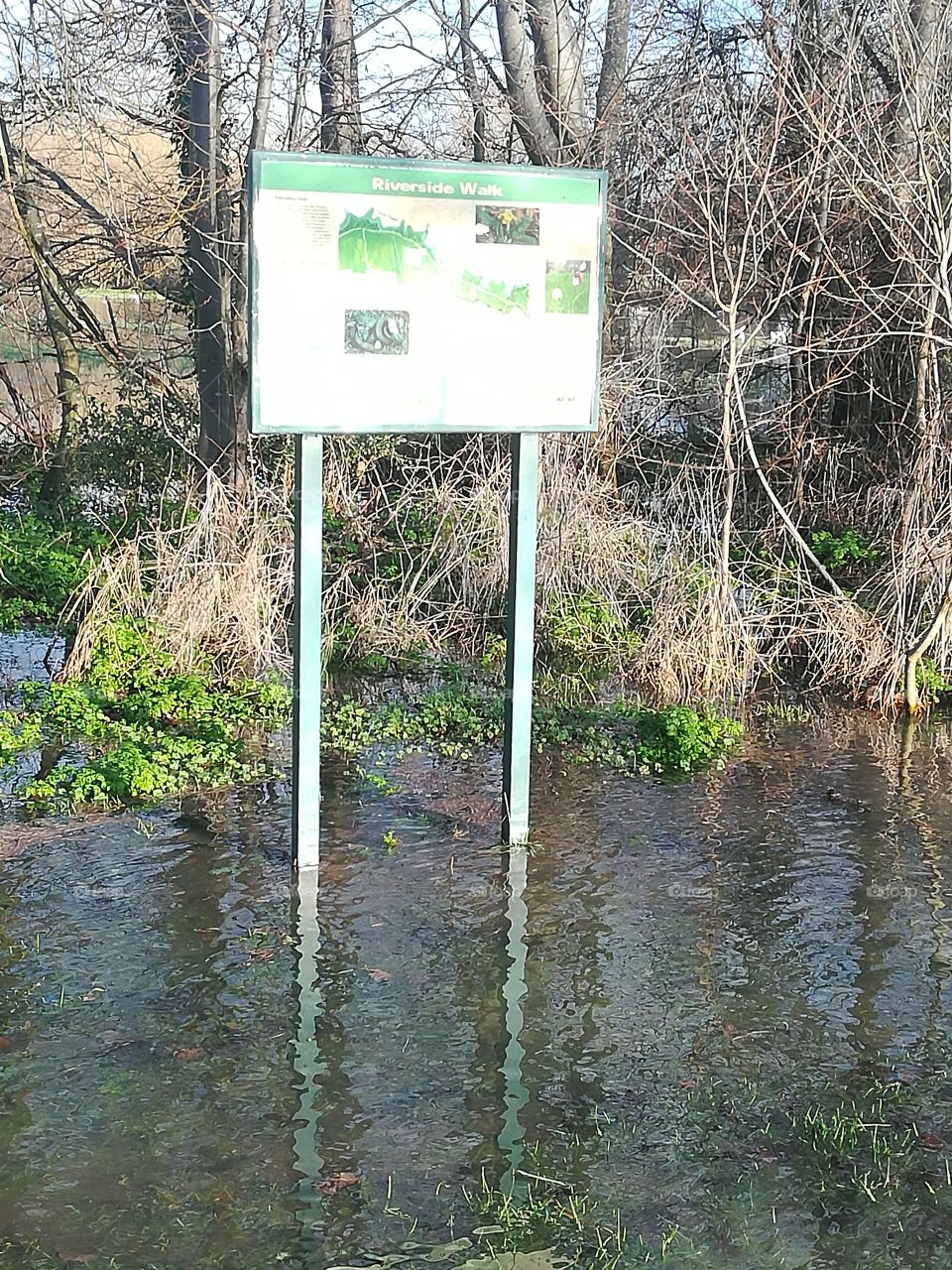 Literally Riverside walk
