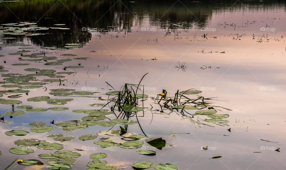 Wakacje 2018, Poland