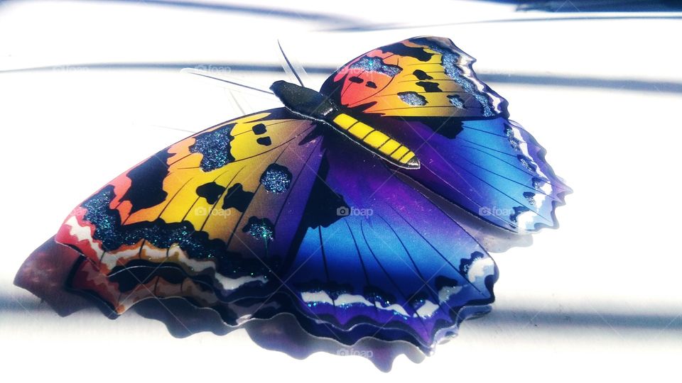 blue beautiful butterfly