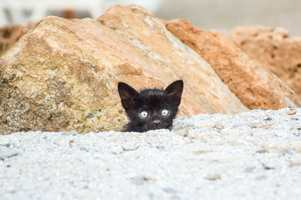 No Person, Nature, Outdoors, Little, Rock