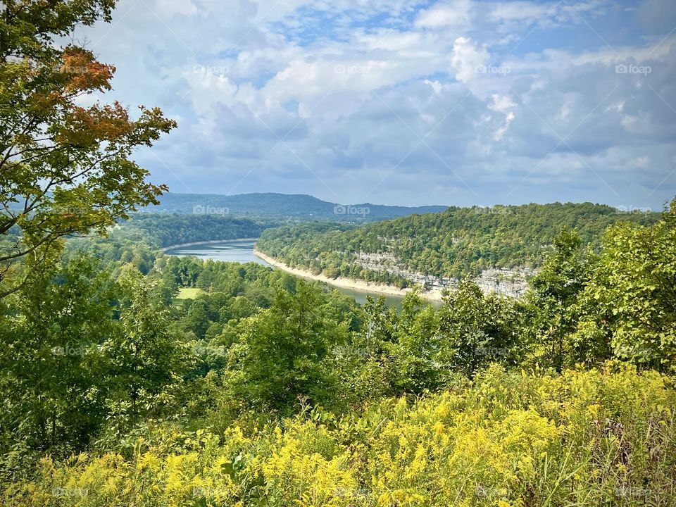 Beautiful water and woods of Kentucky in the USA