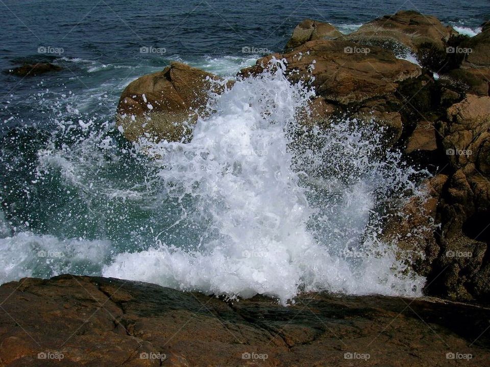 Waves in rocks