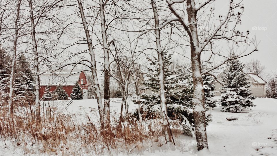 Red Barn & Snow