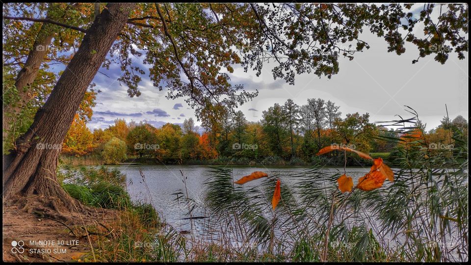 Polish golden autumn