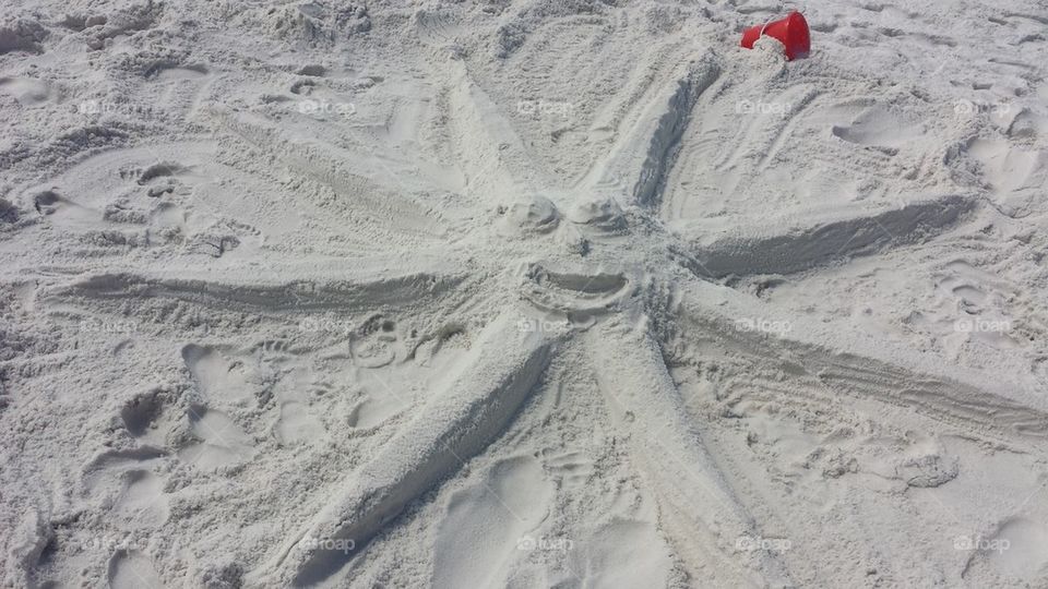 starfish in sand