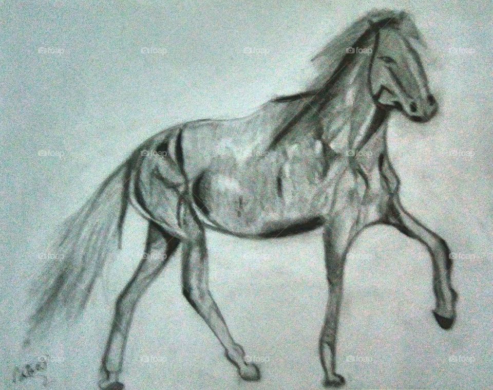Horse Sketch.