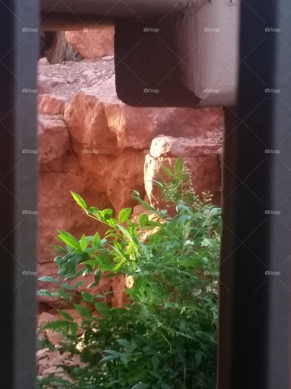nature light and rocks
