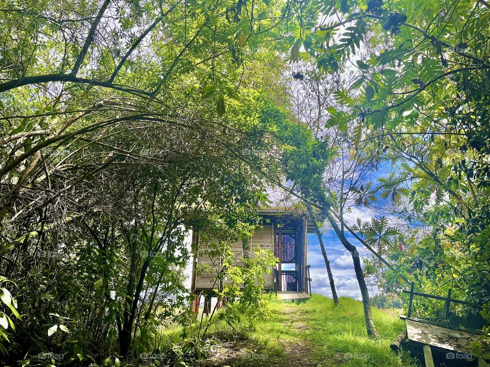 A wood house in the middle on the fields