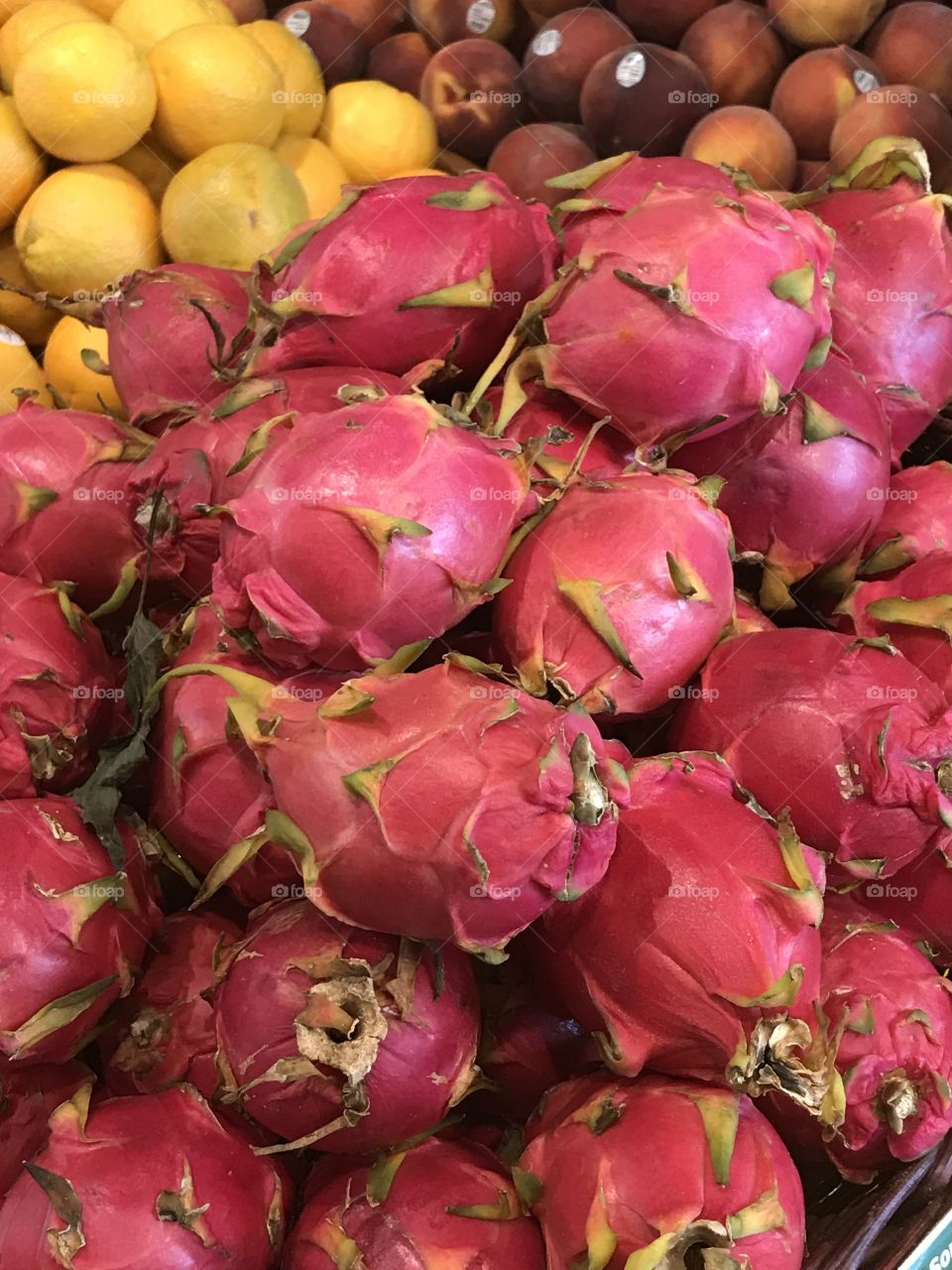 Mexican fruit pitaya tuna