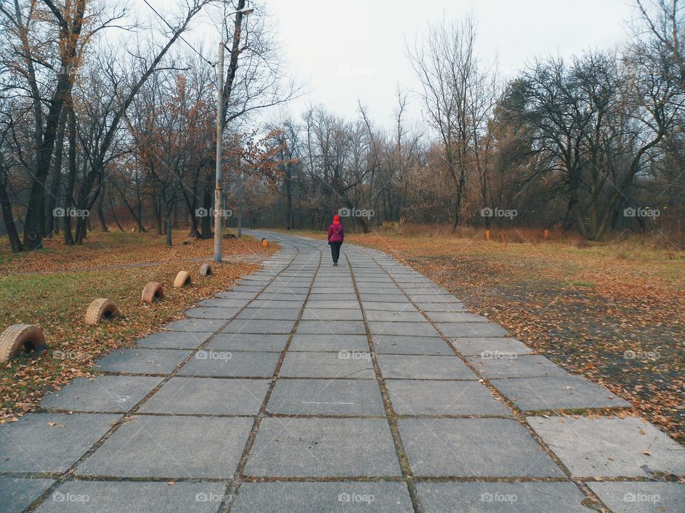 people walking on the road in the park, autumn 2016