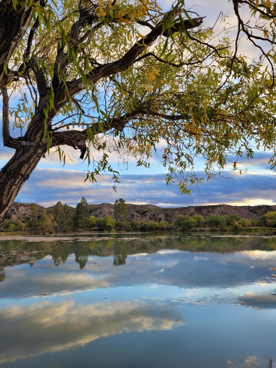 lago de la ciudad