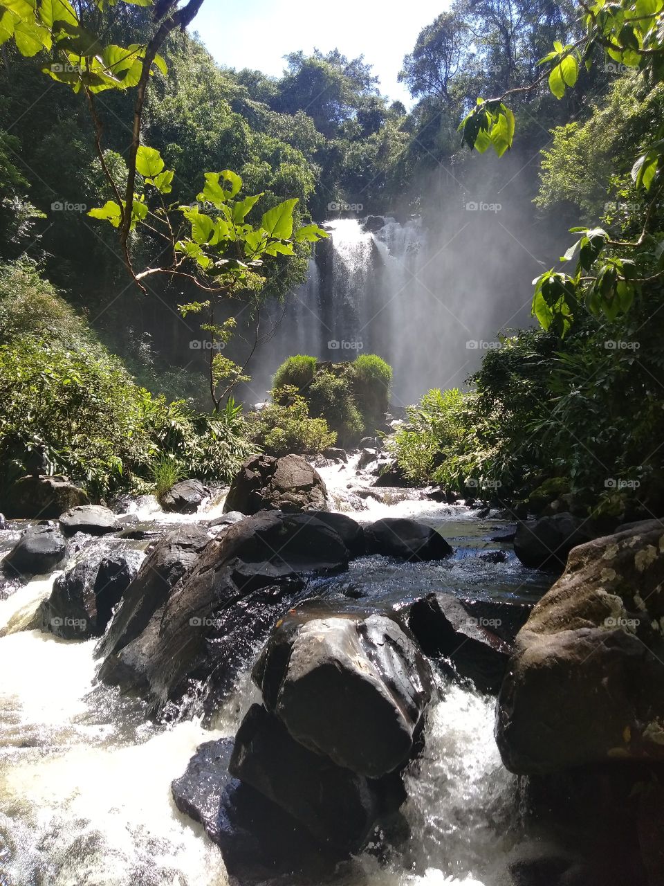 A cascata de Monte Sião se localiza na cidade de Pirassununga, interior de São Paulo. Uma paisagem singular e inesquecível. A visão lembra um bosque encantado, rende boas fotos, mas estar frente à paisagem nem se compara ao click da câmera ♡