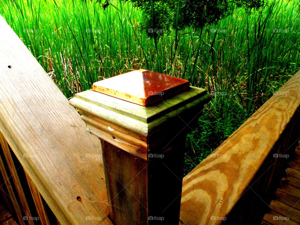Corner Post. Nature trail on Hilton Head Island, South Carolina